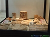 Il Museo Archeologico di Atri 05-PC270550+.html